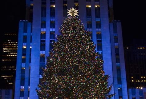 Christmas Traditions… | Artsofmusty's Blog