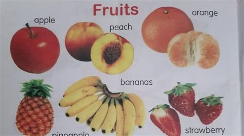 Fruits Names🍊🍇🍎🍑🍐🍓🍌🥭🍍 Youtube