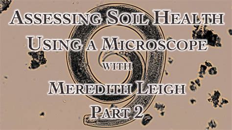 Assessing Soil Health Using A Microscope With Meredith Leigh Part