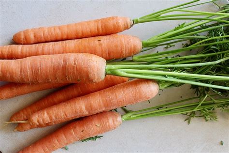 Carrots Carrot Healthy Free Photo On Pixabay