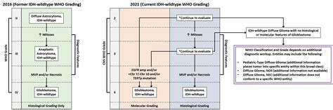 Pathology Outlines Who Grading Of Gliomas