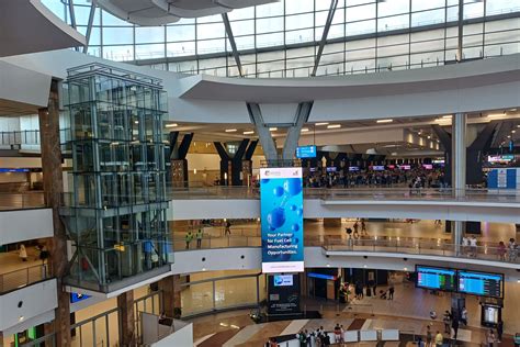 Furry VIPs: SWISSPORT Opens Lounge For Unaccompanied Pets At