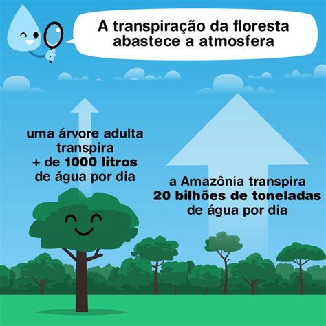 Água sua linda Ciência ambiental Educação ambiental e