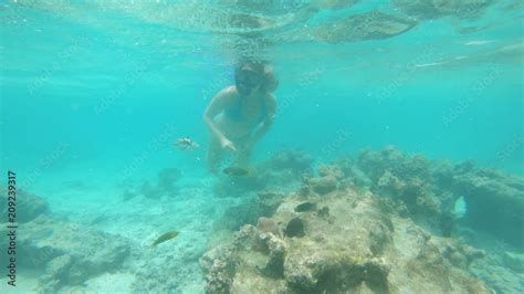 Vidéo Stock UNDERWATER Young woman in bikini snorkels around the stunning turquoise ocean and