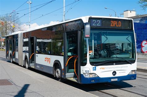 ÖFFENTLICHER VERKEHR TPG Bus Mercedes Citaro O503G 123 Palettes