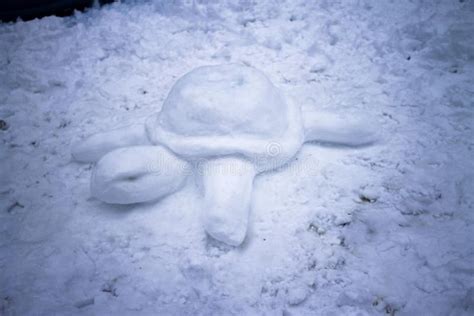 Snow Turtle stock photo. Image of flurry, snow, sculpture - 47713160