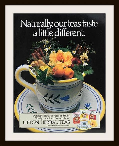 Lipton Herbal Teas Advertisement Vintage Lipton S Etsy Canada