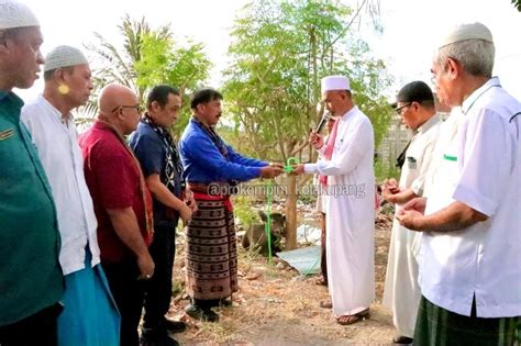 Idul Adha Pemkot Kupang Serakan 12 Ekor Hewan Kurban Kabar NTT