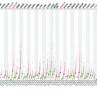 Panx Expression Levels In Different Types Of Human Cancers A