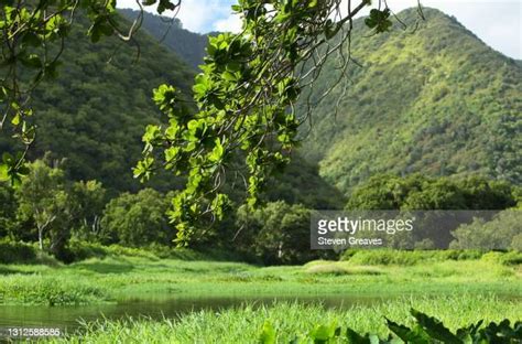 80 Pio Island Stock Photos High Res Pictures And Images Getty Images