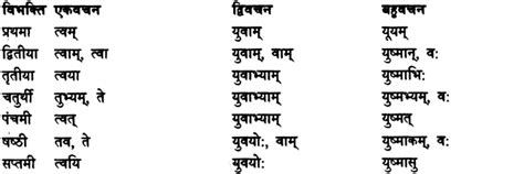 Shabd Roop शब्द रूप Sanskrit Shabd Roop Learn Cram