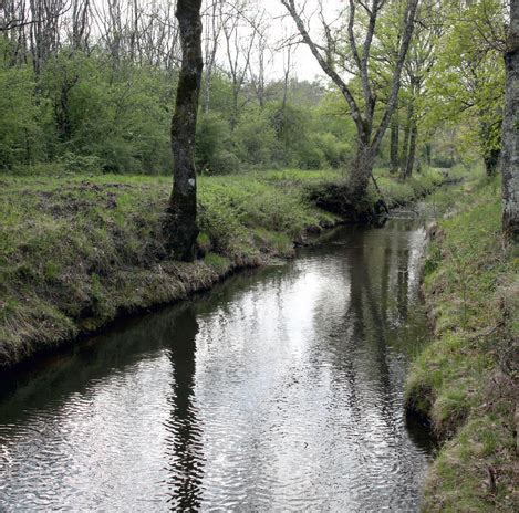 Quest Ce Quun Bassin Versant Sauldre