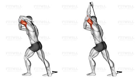 Band Overhead Single Arm Triceps Extension Exercise Guide Video
