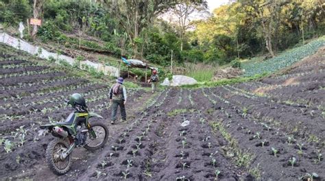 Banjir Bandang Kota Batu Dipicu Kondisi Hutan Lindung Gunung Arjuna