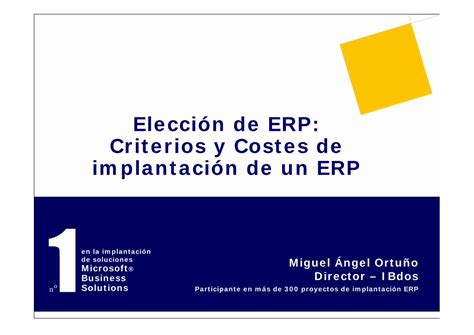 Pdf Implantaci N De Un Erpcriterios Y Costes De Elecci N De Erpvlino