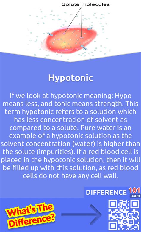 Hypertonic Vs Hypotonic 5 Key Differences Pros Cons Similarities