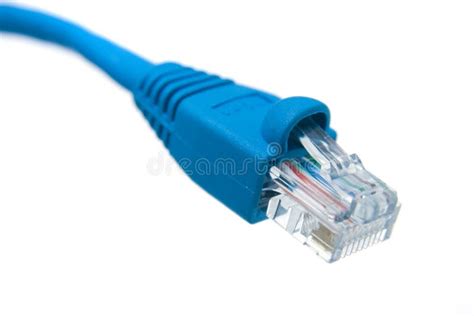 Patch Cord Stock Image Image Of Internet Patch Connectors 12855073