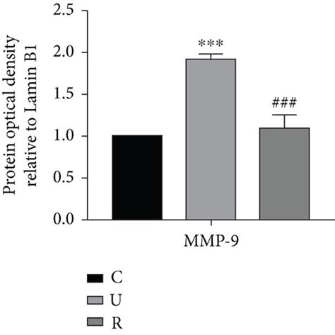 Effect Of RES On The Gene Expression Of MMPs In UVB Induced Photoaging