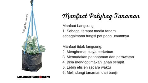 6 Manfaat Polybag Tanaman Untuk Kebutuhan Berkebun Di Lahan Sempit