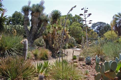 Ruth Bancroft Garden FarOutFlora Flickr