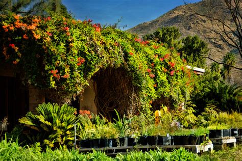 The Nursery At The Uc Riverside Botanic Garden Gardensucr Flickr