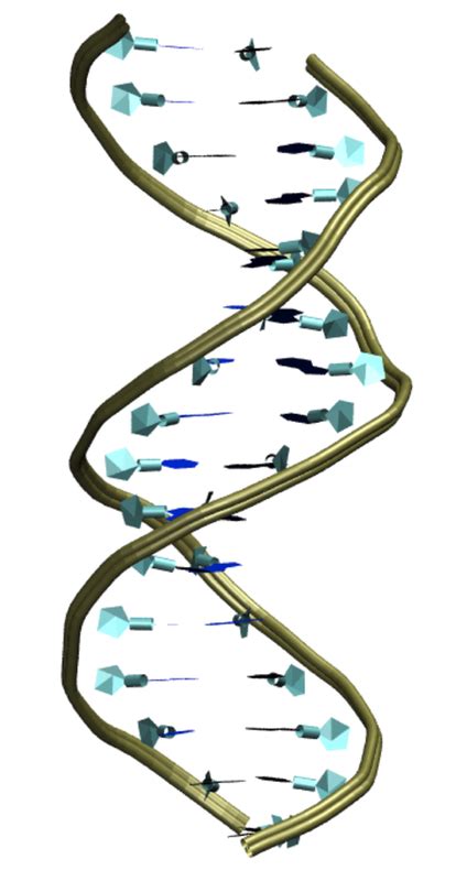 Dna Scale Chart Geeky Sequencing Dna Gene Stick Result Genetic Human