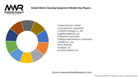 Global Wafer Cleaning Equipment Market Size Share Growth