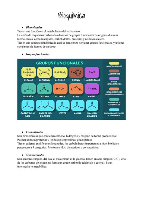 Bioquimica Solemne Bioqu Mica Biomoleculas Tienen Una Funci N En El