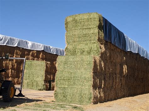 Alfalfa X X Bales Colorado