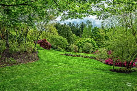 Biltmore Estate Gardens And Grounds Asheville North Carolina Photograph