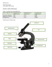 Bios Week Lab Microscopy Lab Docx Bios Lab Name Ziasia