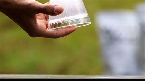 Agua S Lida Alternativa Sustentable Para La Agricultura