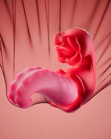 Amazon Sex Toys Realistic Tongue Vibrator For Women Licking Clitoral Swing