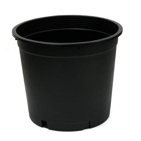 black pot  cm green age farms