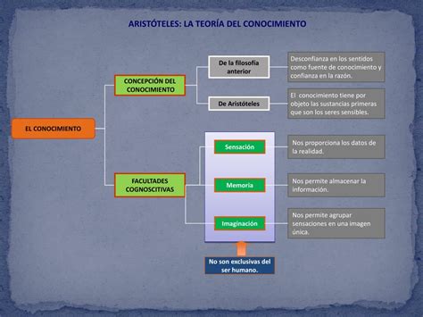 Ppt AristÓteles Estagira 384 322 A C Powerpoint Presentation