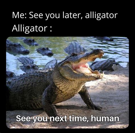 [新しいコレクション] see you later alligator memes 110735-See you later ...