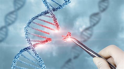 Crispr Like System Capable Of Editing Human Genome Uncovered In Eukaryotes