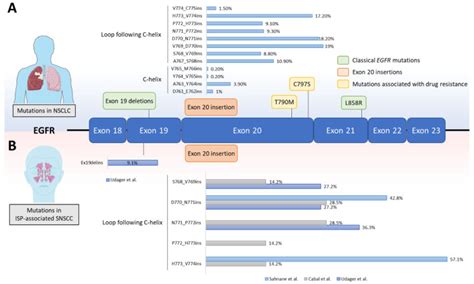 Egfr Exon 20 Insertion Mutations In Sinonasal Squamous Cell Carcinoma