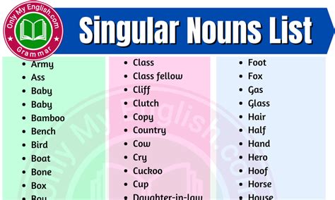 Singular Nouns List In English