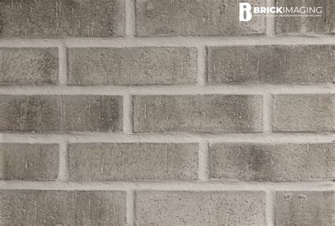 Brick stain | brick staining | Stained brick, Stain projects, Brick