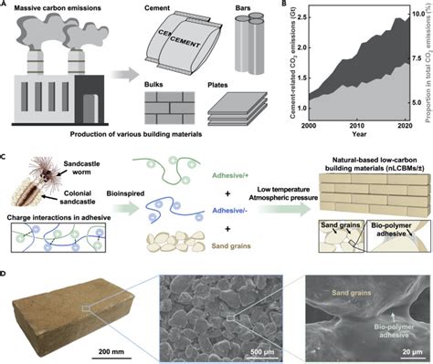 Colonial Sandcastle Inspired Low Carbon Building Materials Matter