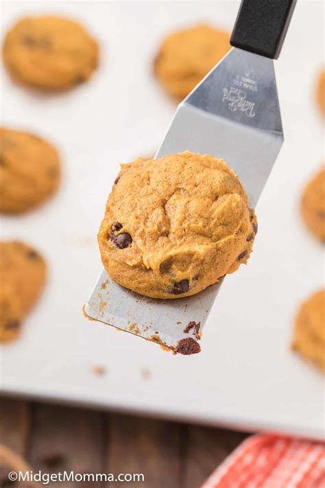 Pumpkin Chocolate Chip Cookies Recipe Midgetmomma