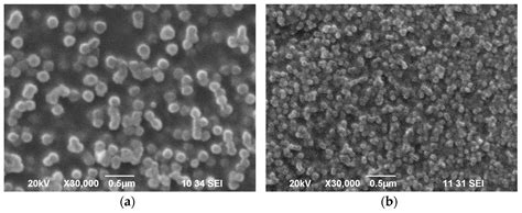 Applied Sciences Free Full Text Glass Ceramic With Improved Structure And Properties Made