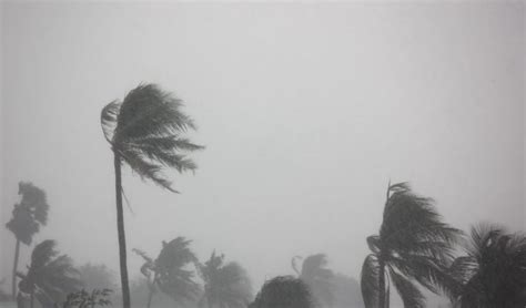 The 1881 Georgia Hurricane