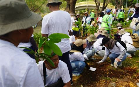 Komitmen Lestarikan Lingkungan Ap Tanam Bibit Pohon Di Hutan Kota