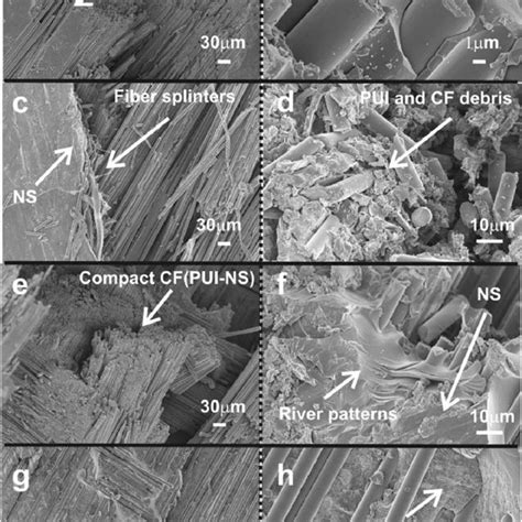 Sem Fracture Surfaces Of A B Cf Pui C D Cf Pui Ns Wt E