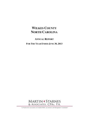 Fillable Online Annual Financial Report Wilkes County Fax Email