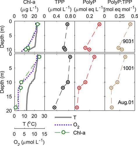 Vertical Distributions Of Temperature T Dissolved Oxygen O2