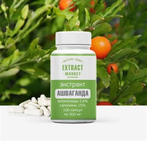 Экстракт Ашваганды капсулы купить в интернет магазине Extract Market