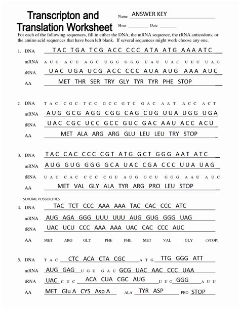 50 Protein Synthesis Review Worksheet Answers